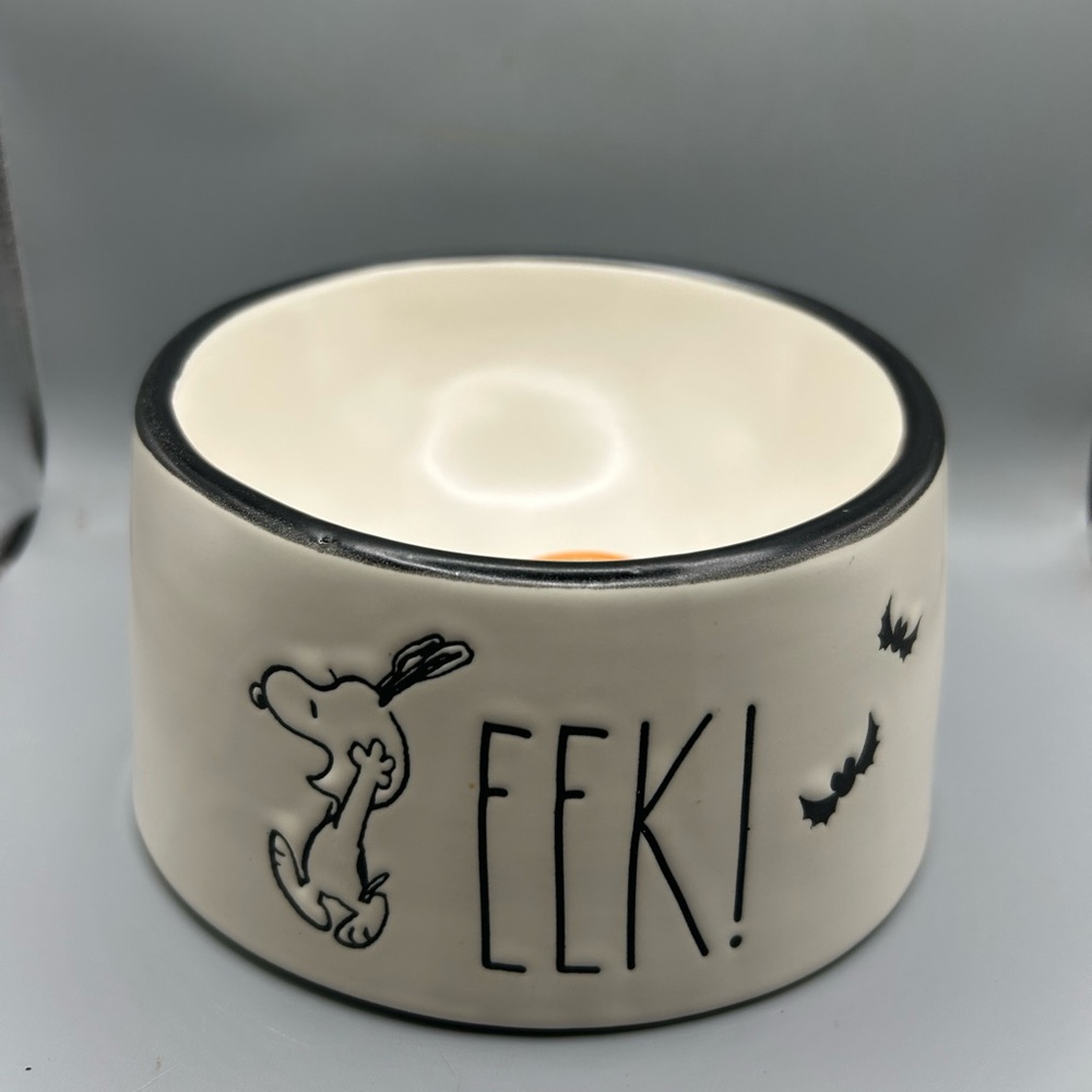 Rae Dunn Peanuts Snoopy Eek! Halloween Dog Bowl Pet Bowl With Bats NEW
